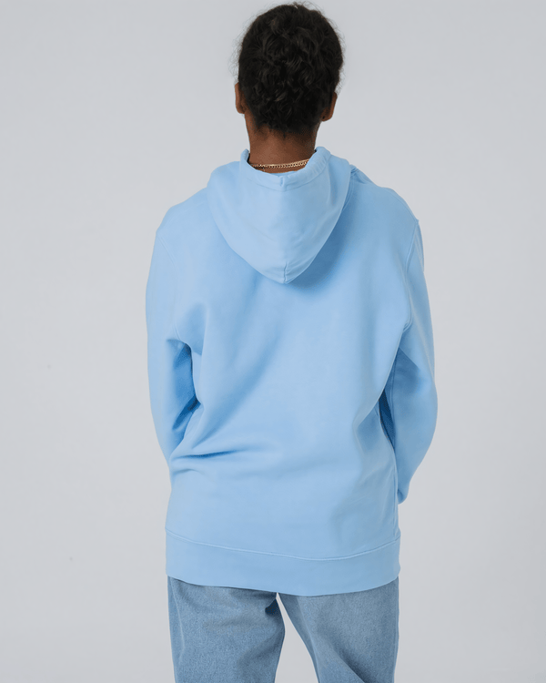 hewn. Womens Organic Cotton Relaxed-fit Hoodie in Sky Blue