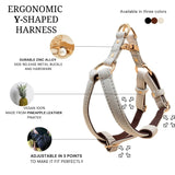 Immaculate Vegan - VEGARI 2 In 1 Royal Piñatex® Vegan Leather Dog Harness & Lead Bundle | Beige