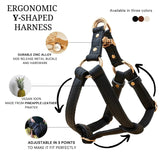 Immaculate Vegan - VEGARI 2 In 1 Piñatex® Vegan Leather Dog Harness & Lead Bundle | Black