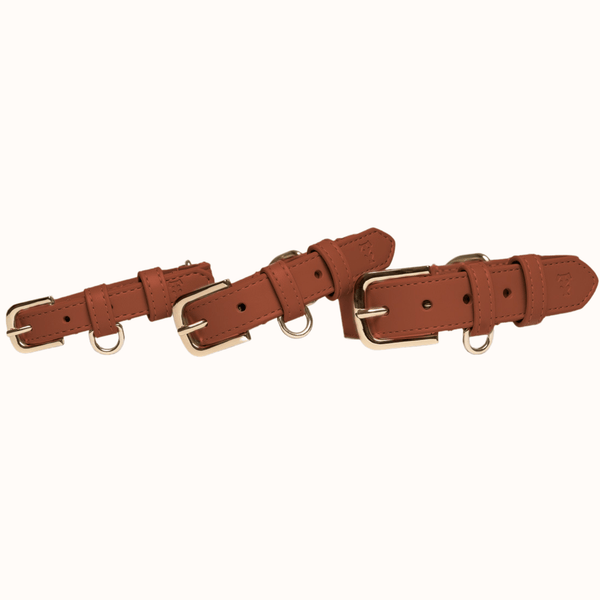 Tails & Bloom Hazelnut Dog Collar