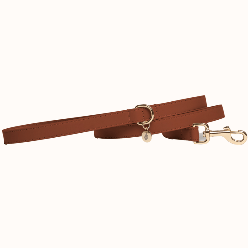 Tails & Bloom Hazelnut Dog Lead