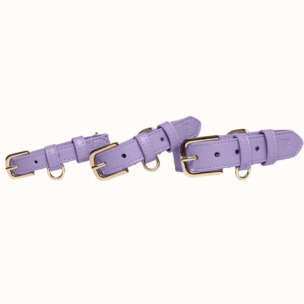 Tails & Bloom Lavender Dog Collar