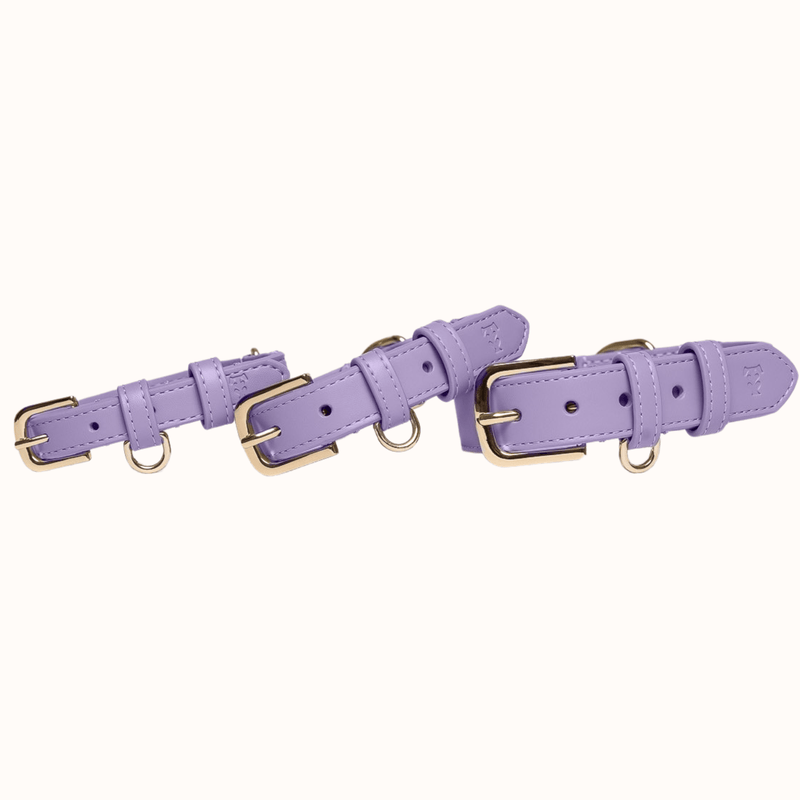 Tails & Bloom Lavender Dog Collar
