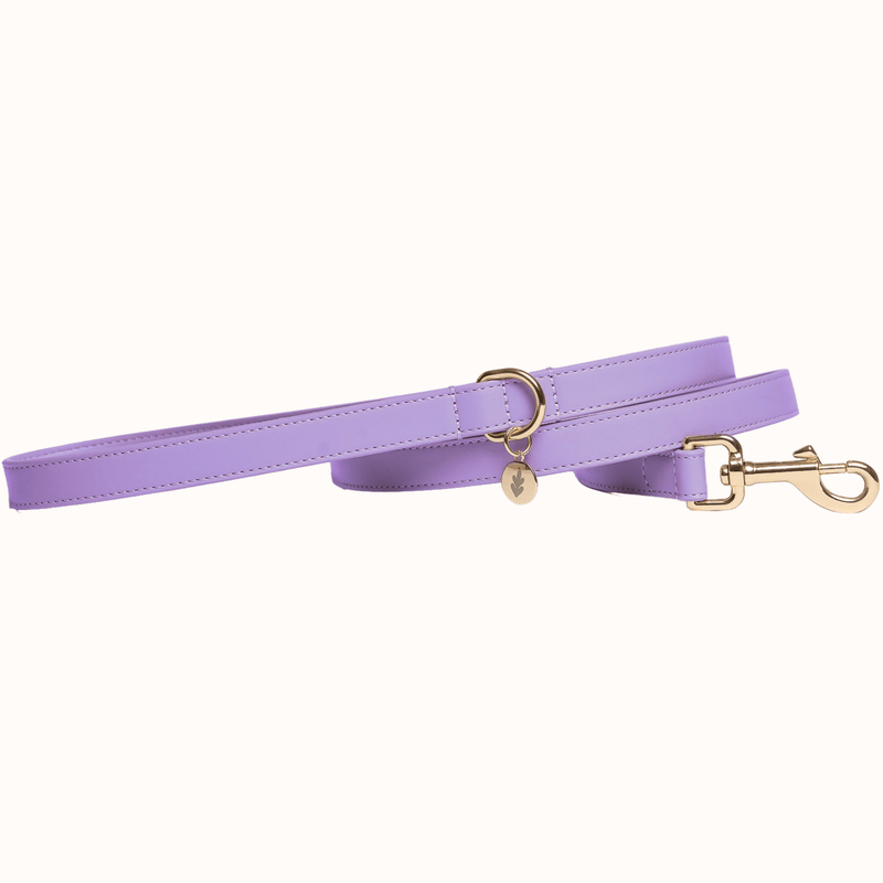 Tails & Bloom Lavender Dog Lead