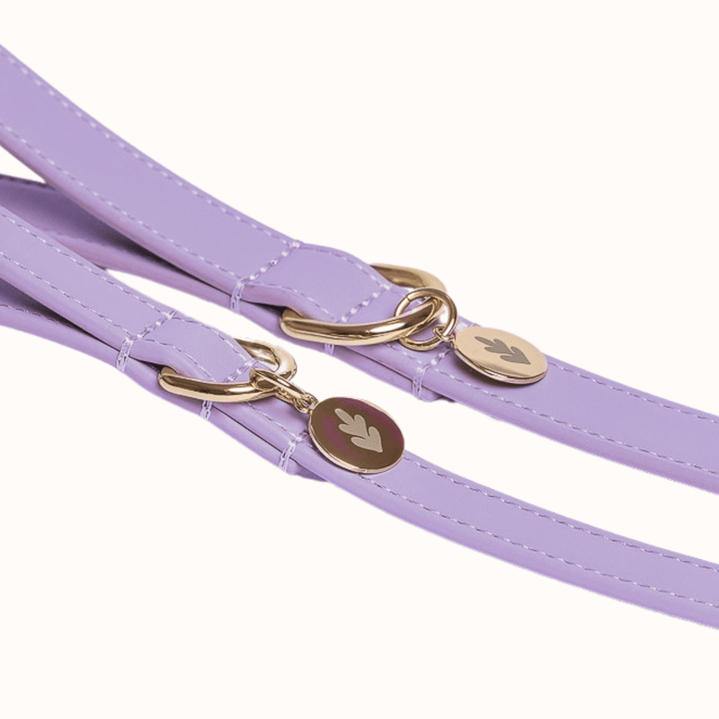 Tails & Bloom Lavender Dog Lead