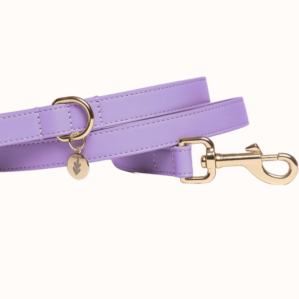 Tails & Bloom Lavender Dog Lead