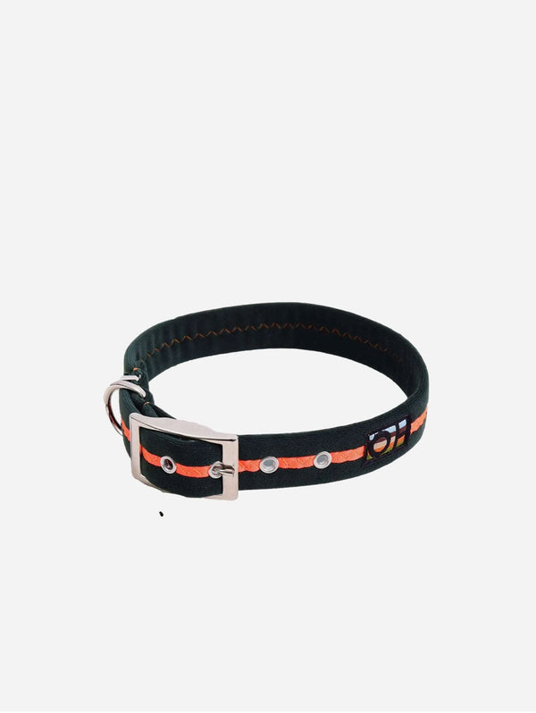 Oscar & Hooch Dog Collars - Neon Range