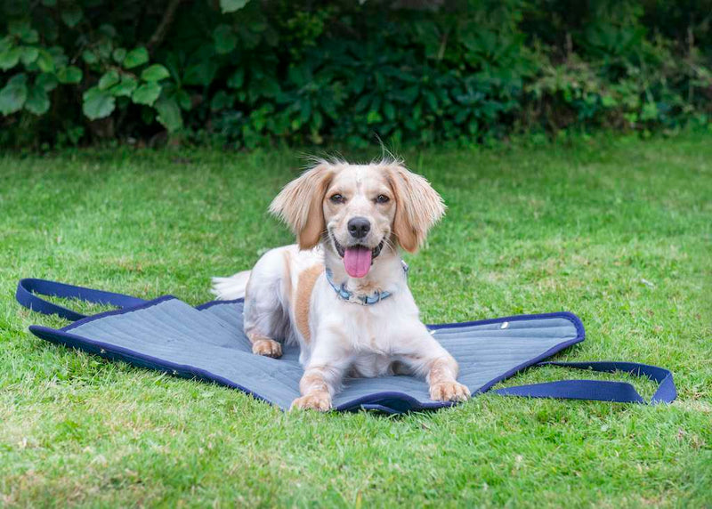 Oscar & Hooch Travel Tote Bag