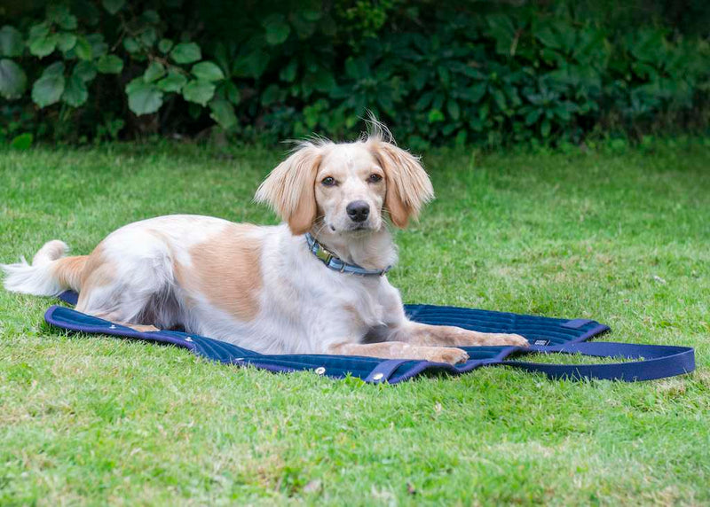 Oscar & Hooch Travel Tote Bag