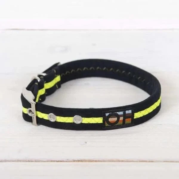 Oscar & Hooch Dog Collars - Neon Range