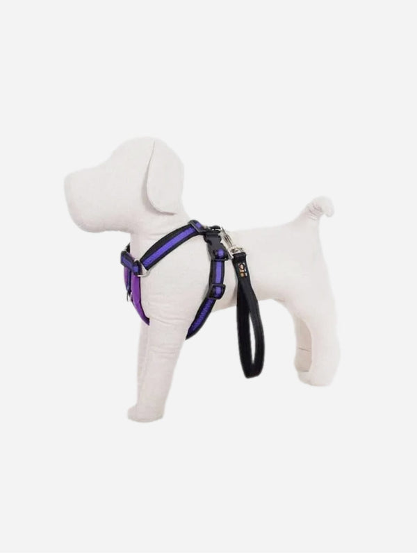 Oscar & Hooch Signature Range Dog Harness | Multiple Colours