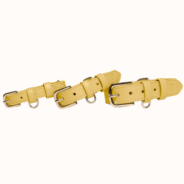 Tails & Bloom Primrose Dog Collar