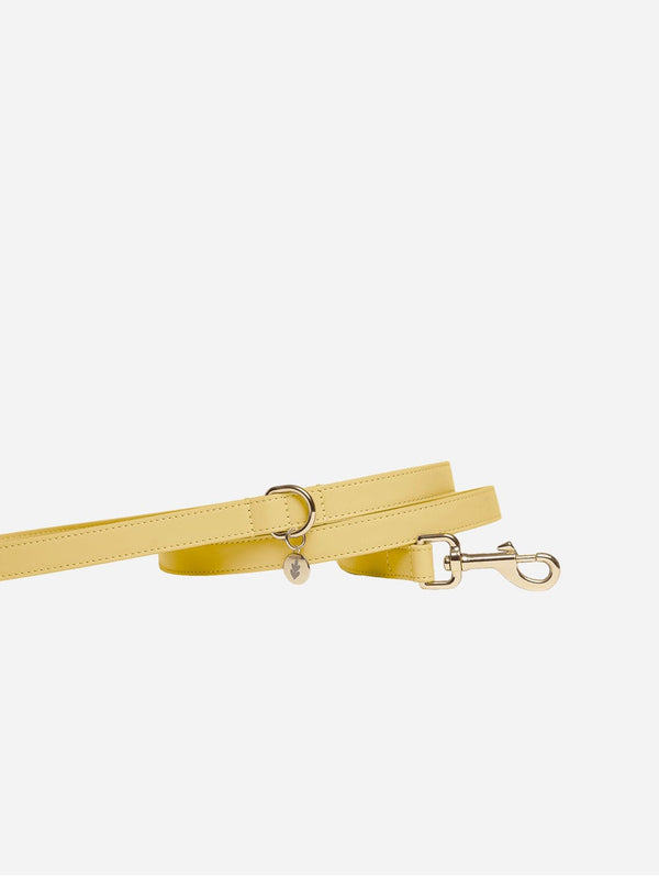 Tails & Bloom Vegan Leather Dog Lead | Primrose