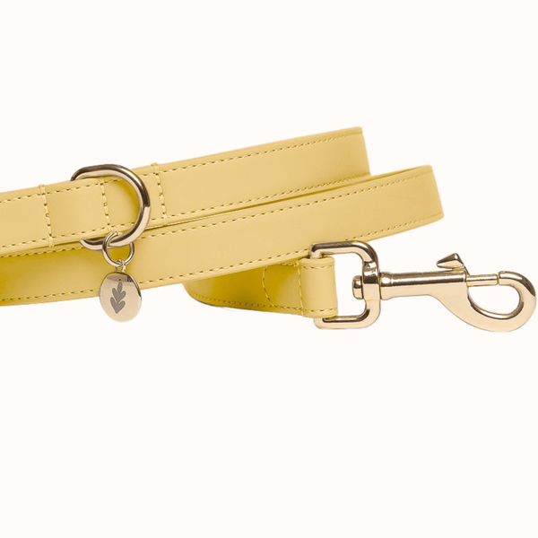 Tails & Bloom Primrose Dog Lead