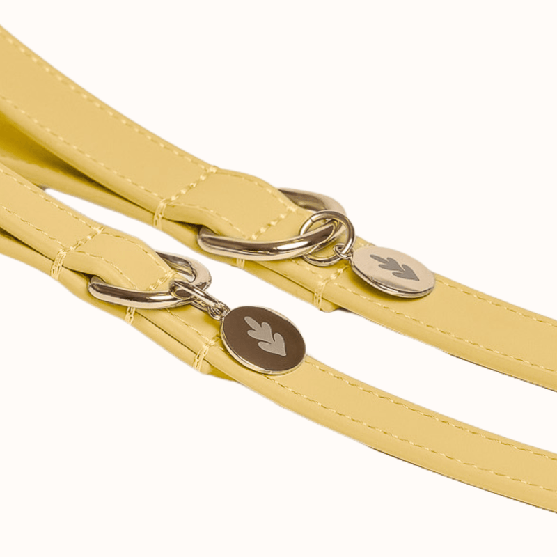 Tails & Bloom Primrose Dog Lead