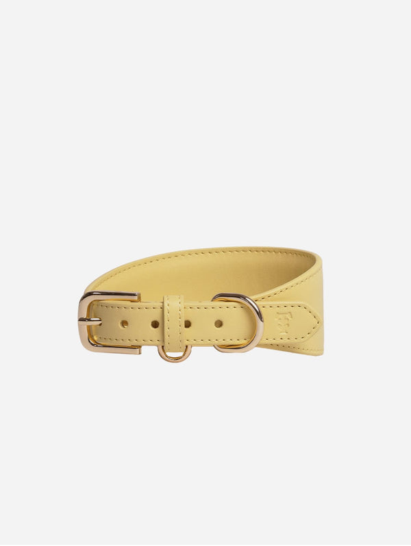 Tails & Bloom Vegan Leather Hound Collar | Primrose