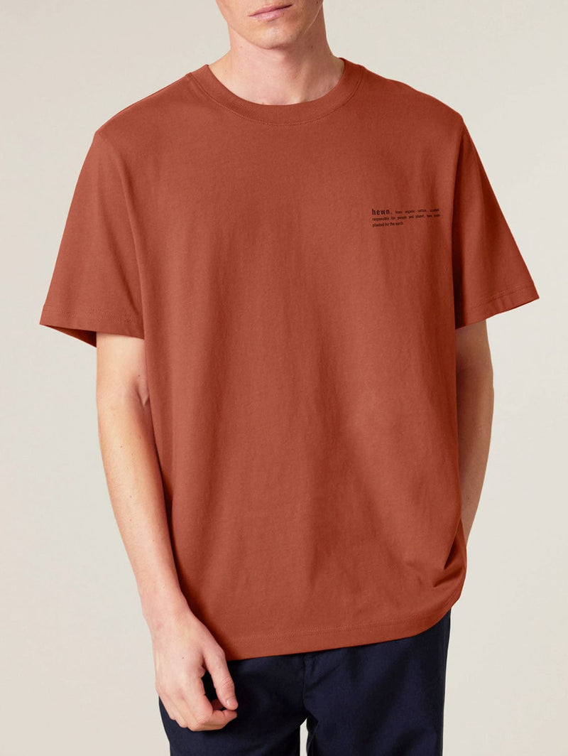 hewn. Mens Organic Cotton Relaxed-Fit T-shirt in Clay Brown