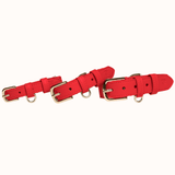 Immaculate Vegan - Tails & Bloom Rouge Dog Collar