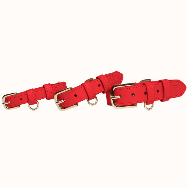Tails & Bloom Rouge Dog Collar