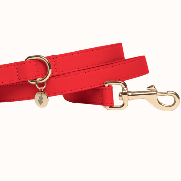 Tails & Bloom Rouge Dog Lead