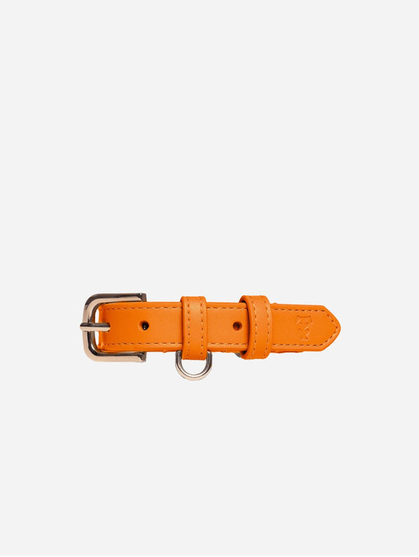 Tails & Bloom Vegan Leather Dog Collar | Tangerine