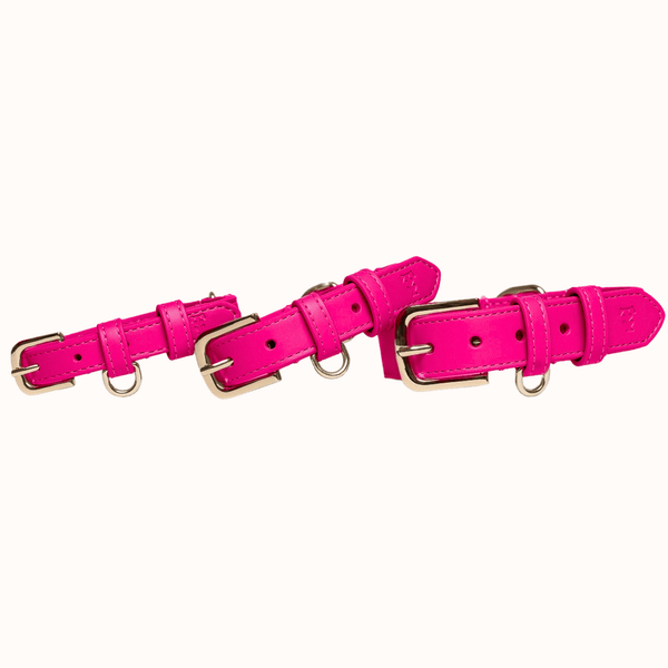 Tails & Bloom Raspberry Pink Dog Collar