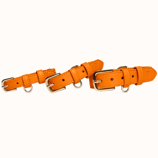 Tails & Bloom Tangerine Dog Collar