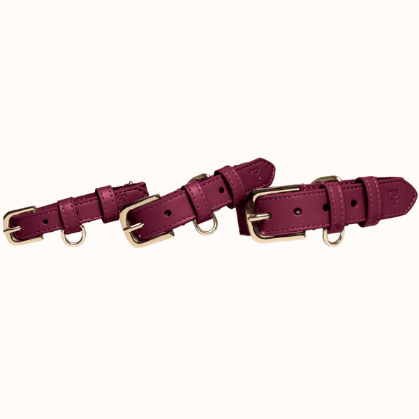 Tails & Bloom Mulberry Dog Collar