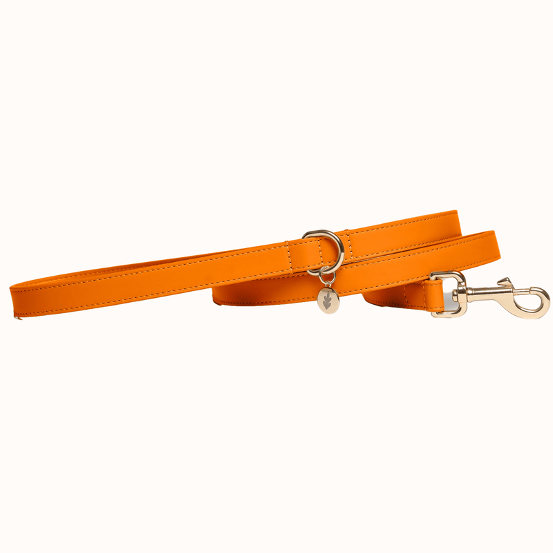 Tails & Bloom Tangerine Dog Lead