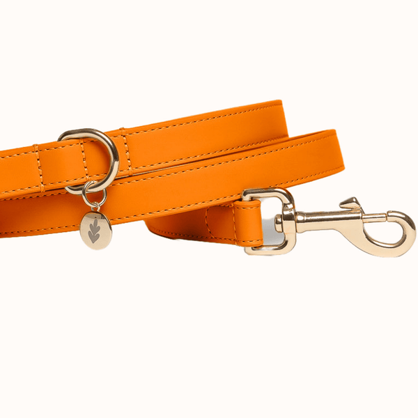 Tails & Bloom Tangerine Dog Lead