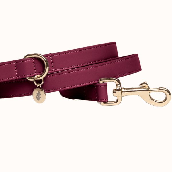 Tails & Bloom Mulberry Dog Lead