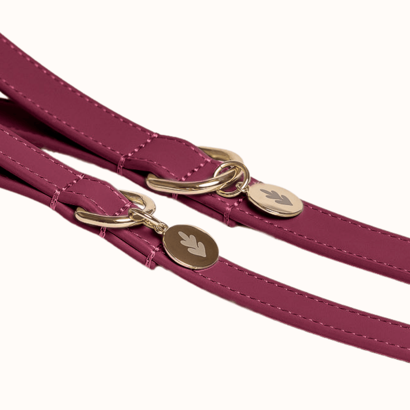 Tails & Bloom Mulberry Dog Lead
