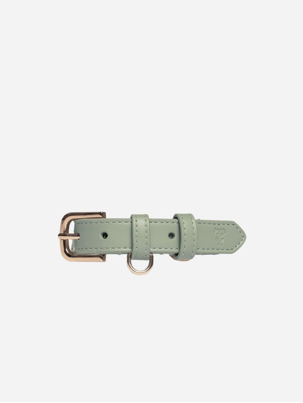 Tails & Bloom Vegan Leather Dog Collar | Sage