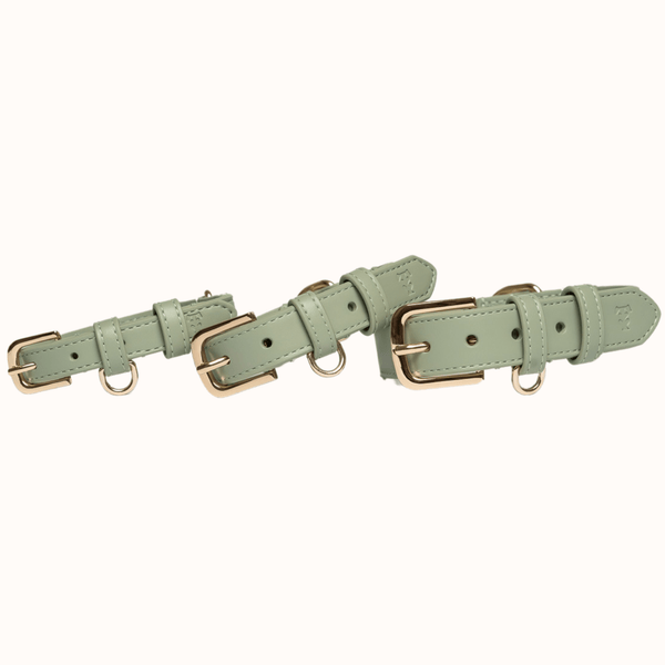 Tails & Bloom Sage Dog Collar
