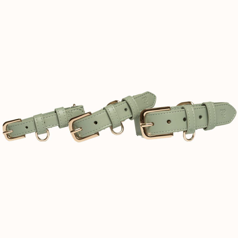 Tails & Bloom Sage Dog Collar