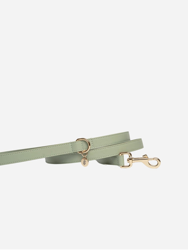 Tails & Bloom Vegan Leather Dog Lead | Sage