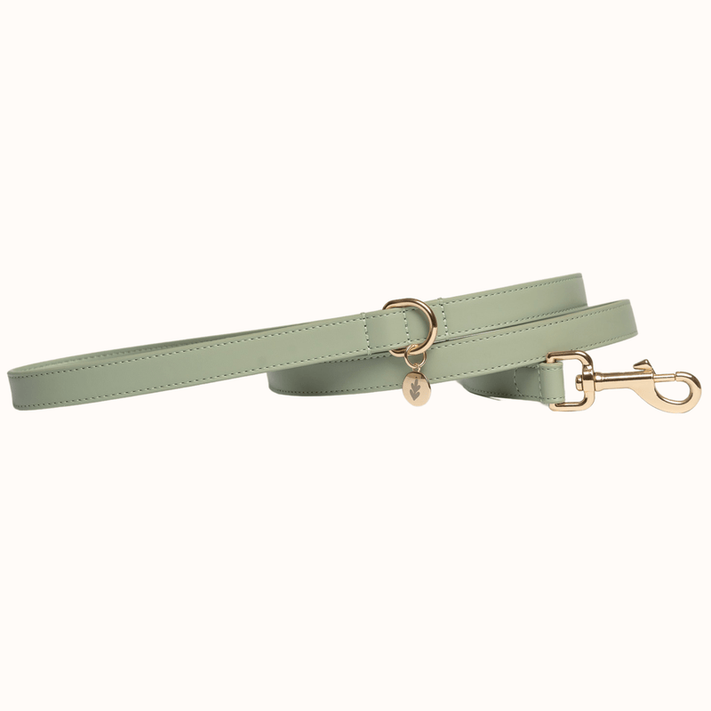 Tails & Bloom Sage Dog Lead