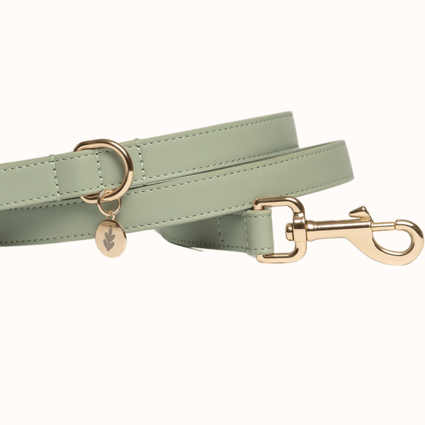Tails & Bloom Sage Dog Lead