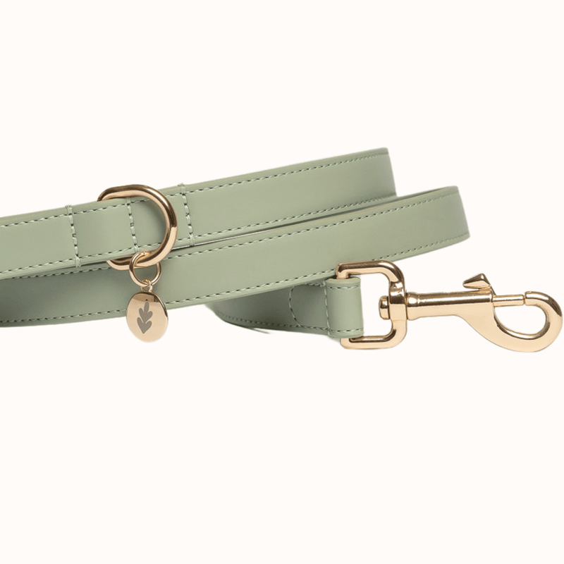 Tails & Bloom Sage Dog Lead