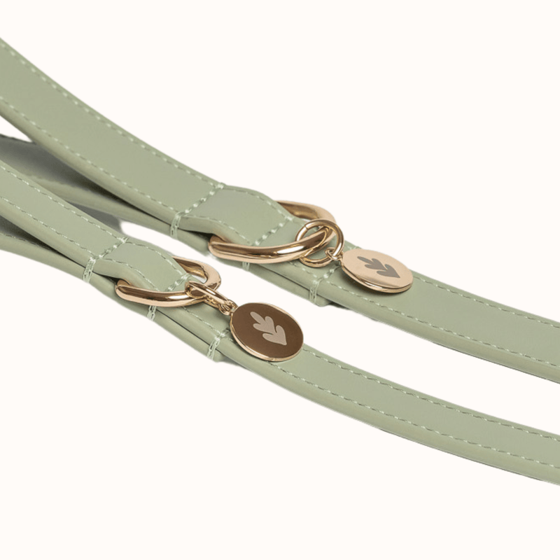 Tails & Bloom Sage Dog Lead