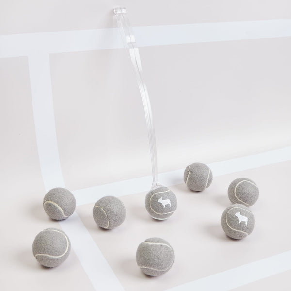 Barc London 4 Balls & 1 Throwing Arm: Grey