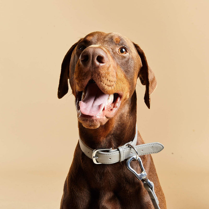 Barc London Ash Grey Dog Collar