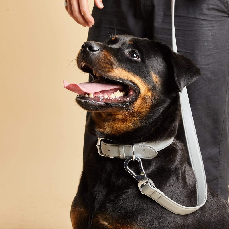 Barc London Ash Grey Dog Collar