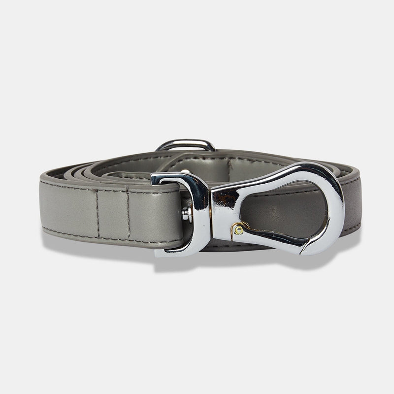 Barc London Ash Grey Dog Collar & Lead Set