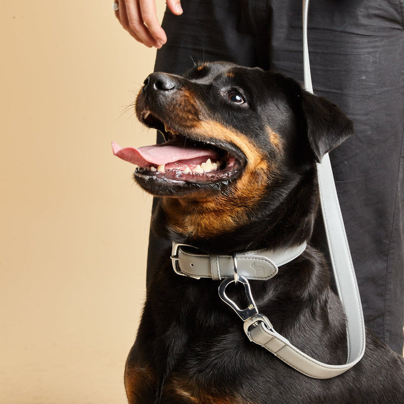 Barc London Ash Grey Dog Collar & Lead Set