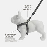 Immaculate Vegan - Barc London Ash Grey Dog Harness & Lead Set