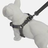 Immaculate Vegan - Barc London Ash Grey Dog Harness & Lead Set