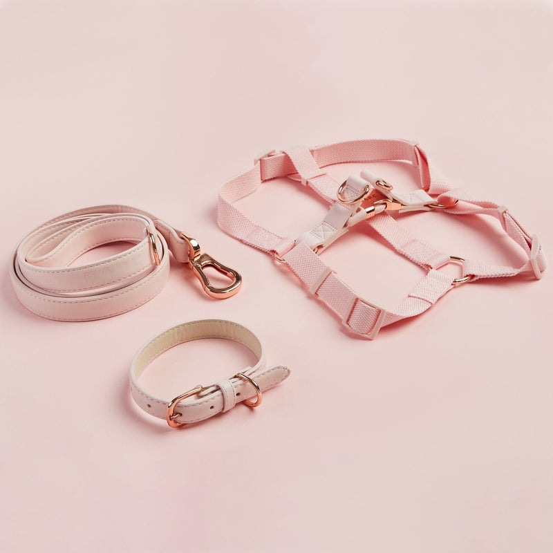 Barc London Blush Pink Dog Collar, Harness & Lead Set