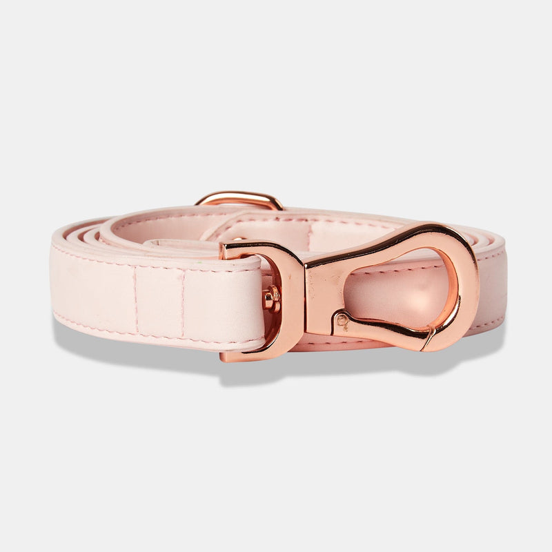 Barc London Blush Pink Dog Collar & Lead Set