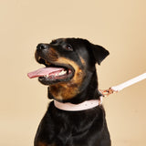 Immaculate Vegan - Barc London Blush Pink Dog Collar & Lead Set